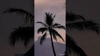 #tamilsong #love #nature #tamiltrending