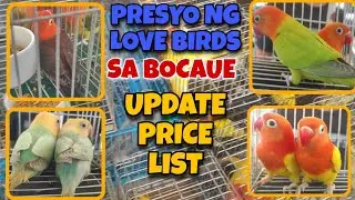 PRESYO NG LOVE BIRD SA BOCAUE BULACAN PET MARKET UPDATE PRICE JUNE 02 #africanlovebird #lovebirds