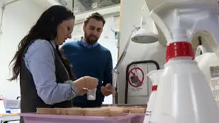 Scientists in Sweden create synthetic blood to attract and kill mosquitoes