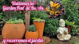 Nuevas sucus y macetas para el jardin #terrasuculenta