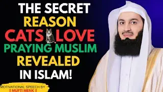 &ldquo;The Secret Reason Cats Love Praying Muslims &mdash; Revealed in Islam!