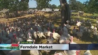Goin&rsquo; To The Lakes: Cannon Falls&rsquo; Ferndale Market & Athoff Hardware