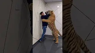 What If a Tiger Enters Your House?