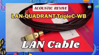 {English version}  Revive LAN: LAN-QUADRANT-TripleC-WB, Ground Box: RGC-24K #hiendaudio #Lee388