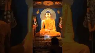 #shorts New Bauddha Status #563 #buddha #2023 #new #shortvideo #shortsfeed #status #youtubeshorts#4k
