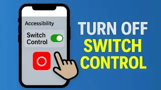 Turn Off Switch Control on iPhone &ndash; Exit Accessibility Mode Easily