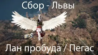 БДО сбор - львы / Лан пробуда