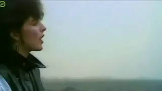 Lustige WhatsApp Video