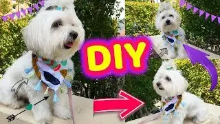 DIY Pet Bandana, NO SEW, Dog/Cat Scarf, Coton de tulear I Lorentix