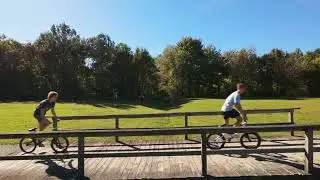 DJI Avata 2 Horizon mode. Flying around the dog park.