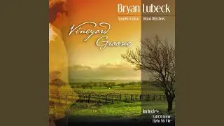 Vineyard Romance