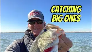 Little Known Techniques For Consistently Catching Big Bass&hellip;
