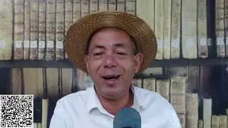 a diferen&ccedil;a entre sonhar com planta e sonhar com arvores mandr&aacute;gora misticismo das plantas veja