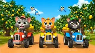 Mama Cat Trims | Cat Meowing Long Slide Game  Kittens  Meow Meow | 3d Animal Game - Funny 3d Animals
