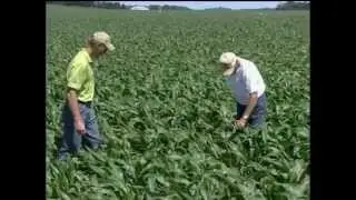 Meet Greg Schwarz: A Corn Farmer from LeSueur, Minnesota