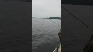 Paunk&uuml;la Veehoidla Паункюла Щука