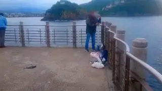 Pesca sargo. Muxarra pesca en donostia.  San Sebasti&aacute;n