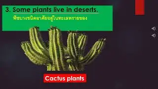 Grade 1 Science Habitats of Plants.