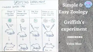 Griffith's Experiment | Transforming principle | S strain and R strain | Search of genetic material|