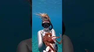 Watch this baby octopus grow up! #ocean #babyoctopus #octopus #shorts 📷: jennakonyok