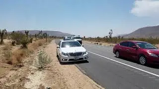 Flamingo Heights Aug 2018