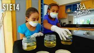 Kid Detectives | S1E14 | Microbes