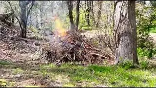 Burning all the yard waste from the past year