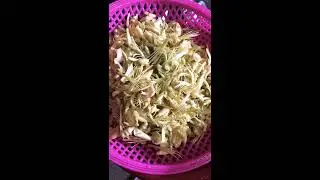 My fav veg Durian flower