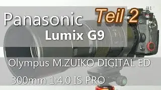 Panasonic Lumix G9 (#15) + Olympus M.ZUIKO DIGITAL ED 300mm F4.0 IS PRO (Teil 2)