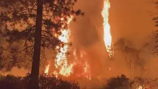 Mosquito Fire: Cal Fire wildfire update - Sept. 13