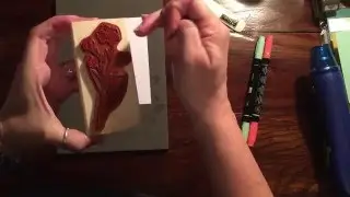 Spotlight Stamping Technique , Stampin' Up Butterfly Basics!