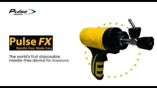 Pulse FX