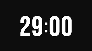 29 Minute Timer