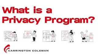 What Is a Privacy Program?