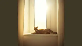 Soft Light Morning