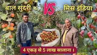 बाल सुंदरी vs मिस इंडिया ( 4 एकड़ से 5 सालाना । ) | Avadh Nursery | Malihabad | Lucknow