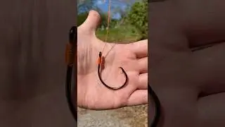 How To Snell A Circle Hook / Tie A Snell Knot or Snell Hitch - #fishing #catfish #tutorial #howto