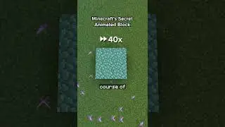 Minecraft&rsquo;s Secret Animated Block