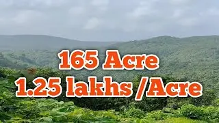 Cheap rate land for sale |165 Acre| #propertyinkonkan #carboncredit#carbontrading #carboncreditlands