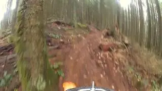Trail Riding Hood River1