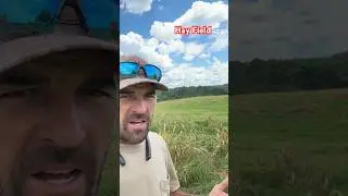 Checking On The Hay Field After Spraying the Johnson Grass and Weeds! #farmerhunt #hayseason