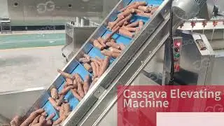 Automatic Cassava Flour Production Line/Cassava Flour Processing Machine Plant