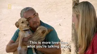 Jej niepokój powodował agresje u psa [Cesar Millan na ratunek]