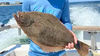Awesome Fluke “flounder” Fishing to 7lbs out of Belmar NJ