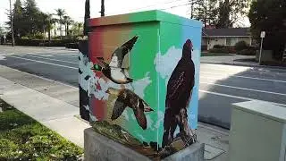 Bird Box 360 Walk Around