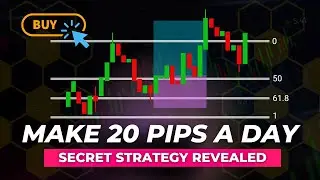 Kahit Newbie Trader Kayang Gawin To / 20 Pips Per Day Forex Strategy