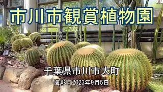 市川市観賞植物園 [4K] Ichikawa City Ornamental Botanical Garden