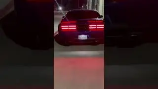 Borla ATAK catback exhaust 392 challenger