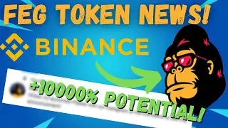 FEG TOKEN BINANCE LISTING NEWS! FEG TOKEN BINANCE UPDATE!