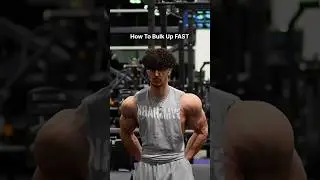 How To Bulk Up Fast